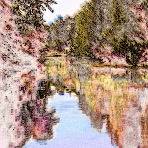 MulchCam motion filter sample