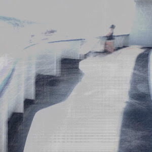 MulchCam live visual sample